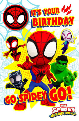 Picture of ITS YOUR BIRTHDAY SPIDEY BADGE CARD
